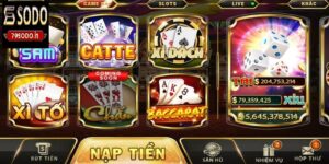 Tổng quan đôi nét về Sâm 79sodo