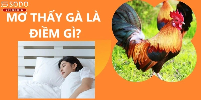 Tìm hiểu về giấc mơ thấy gà