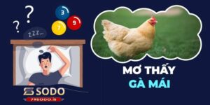 Giải mã giấc mơ thấy gà mái