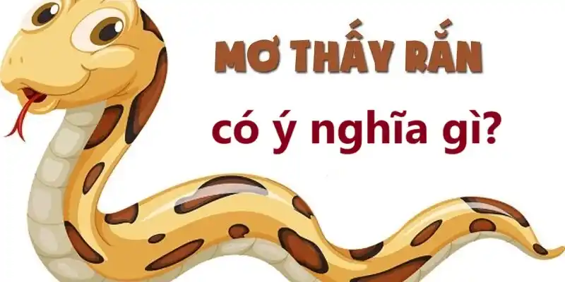 Ý nghĩa của giấc mơ thấy rắn tại 79sodo
