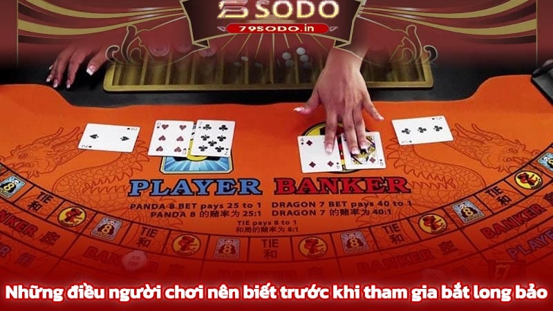 Những điều bạn nên biết khi tham gia bắt long bảo
