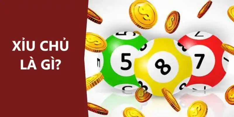 Một số loại cược xỉu chủ phổ biến